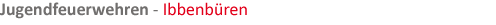 Jugendfeuerwehr in Zahlen